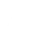 AIG