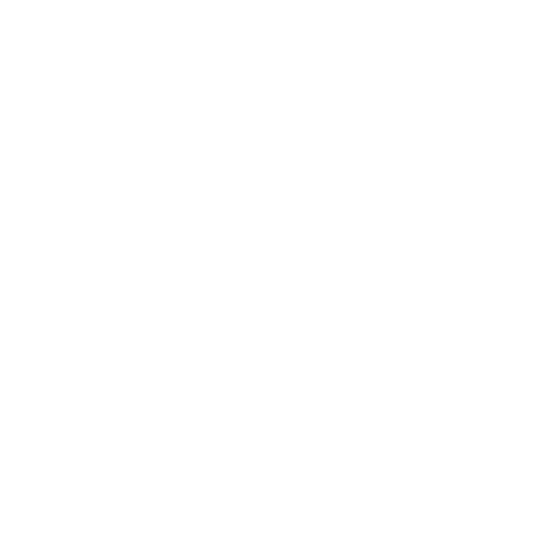AIG