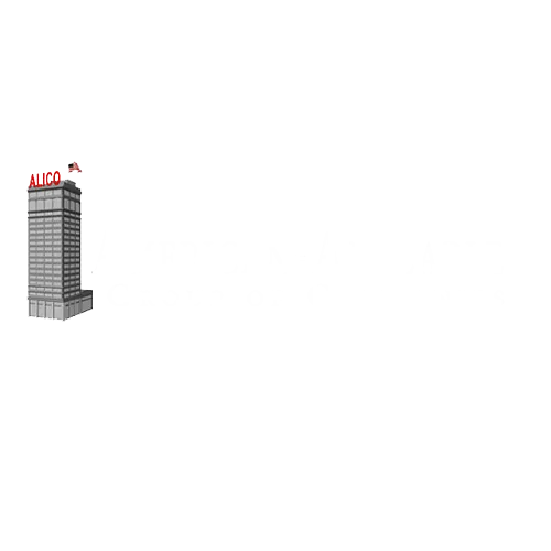 american-amicables